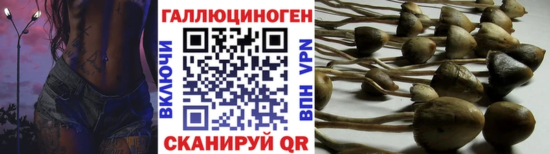 наркотики  Рубцовск  Псилоцибиновые грибы GOLDEN TEACHER 